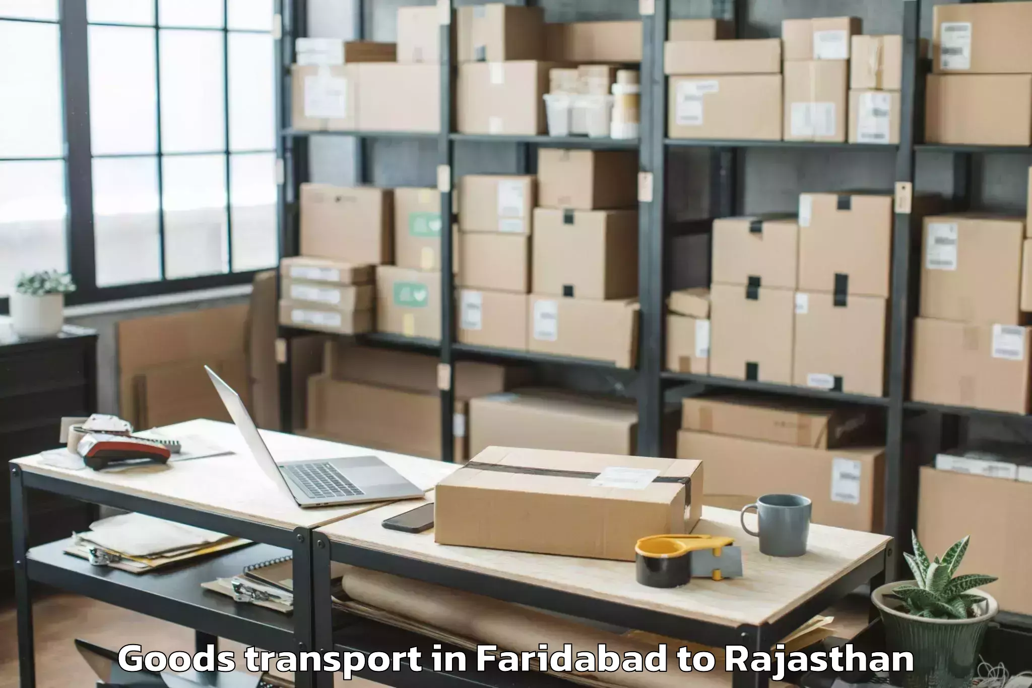 Leading Faridabad to Phulera Sambhar Goods Transport Provider